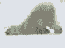 :fatigue: